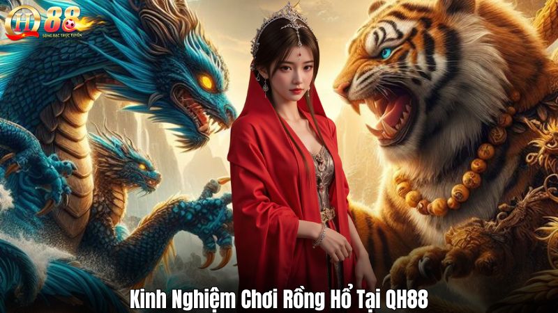 Kinh Nghiệm Chơi Rồng Hổ Tại QH88