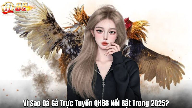 Vì Sao Đá Gà Trực Tuyến QH88 Nổi Bật Trong 2025?